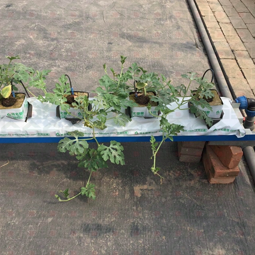 ������������