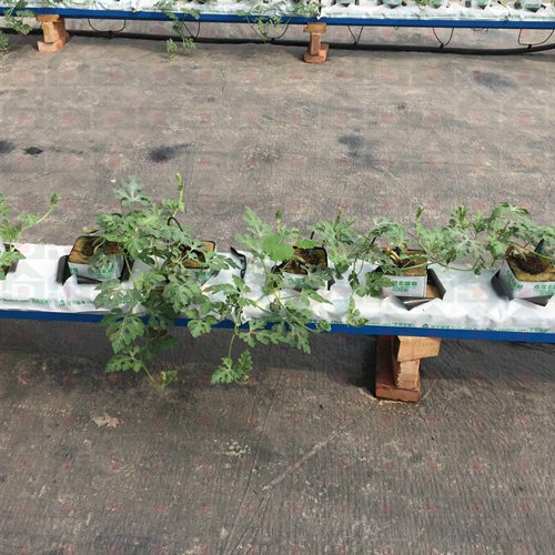 ������������